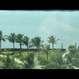 Meet your Posher, Alka